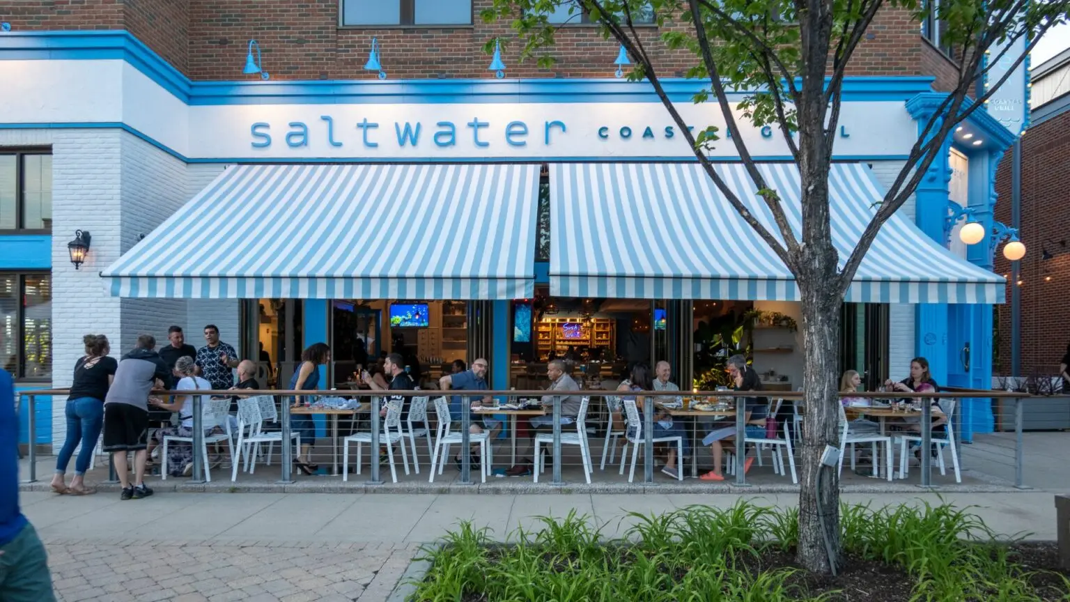 Dive into Freshness with a Culinary Adventure at Rosemont’s Saltwater Coastal Grill